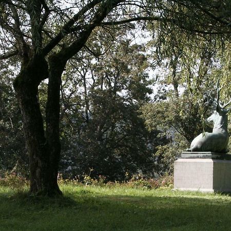 شقة Schloss Wittgenstein باد لاسفه المظهر الخارجي الصورة