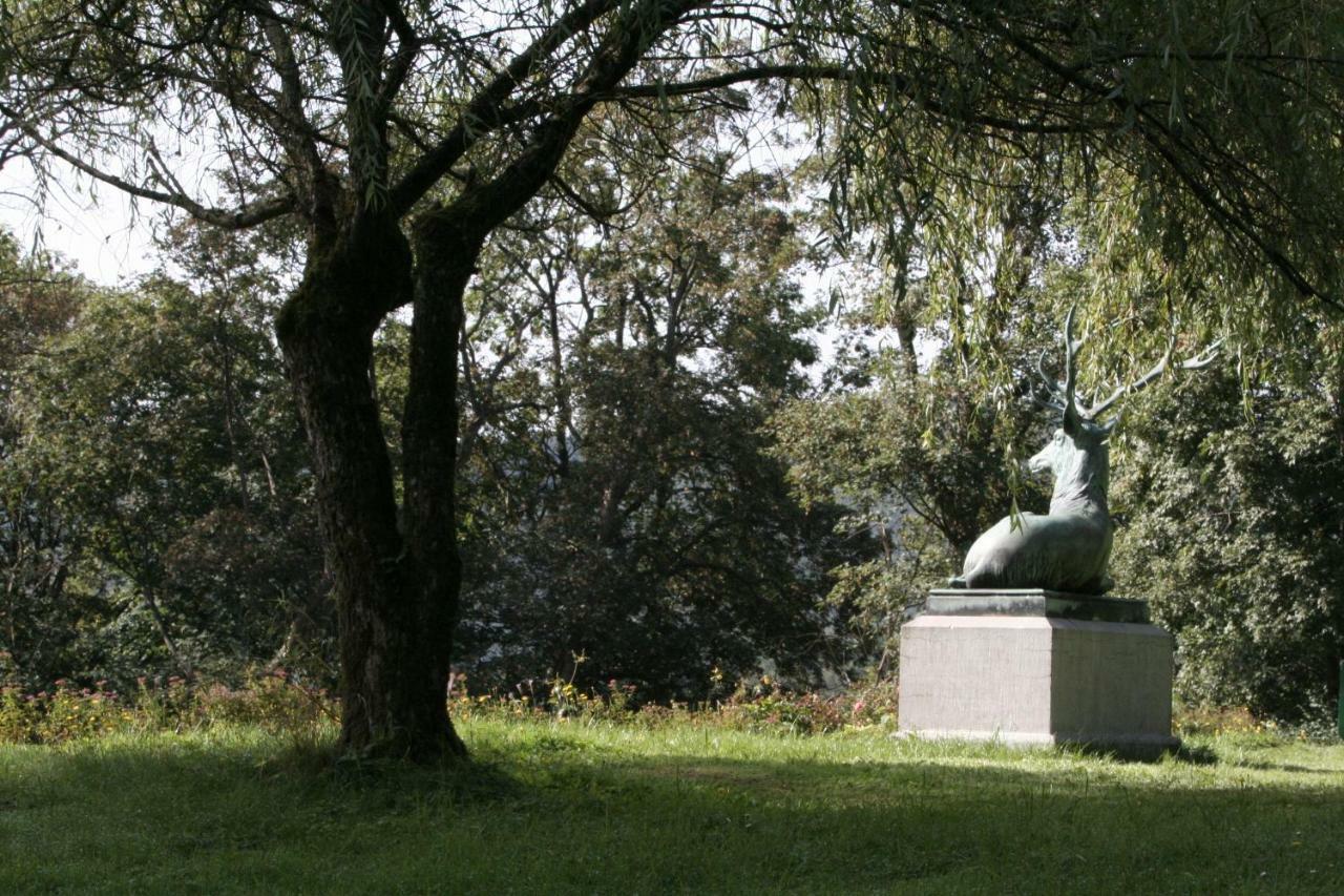 شقة Schloss Wittgenstein باد لاسفه المظهر الخارجي الصورة