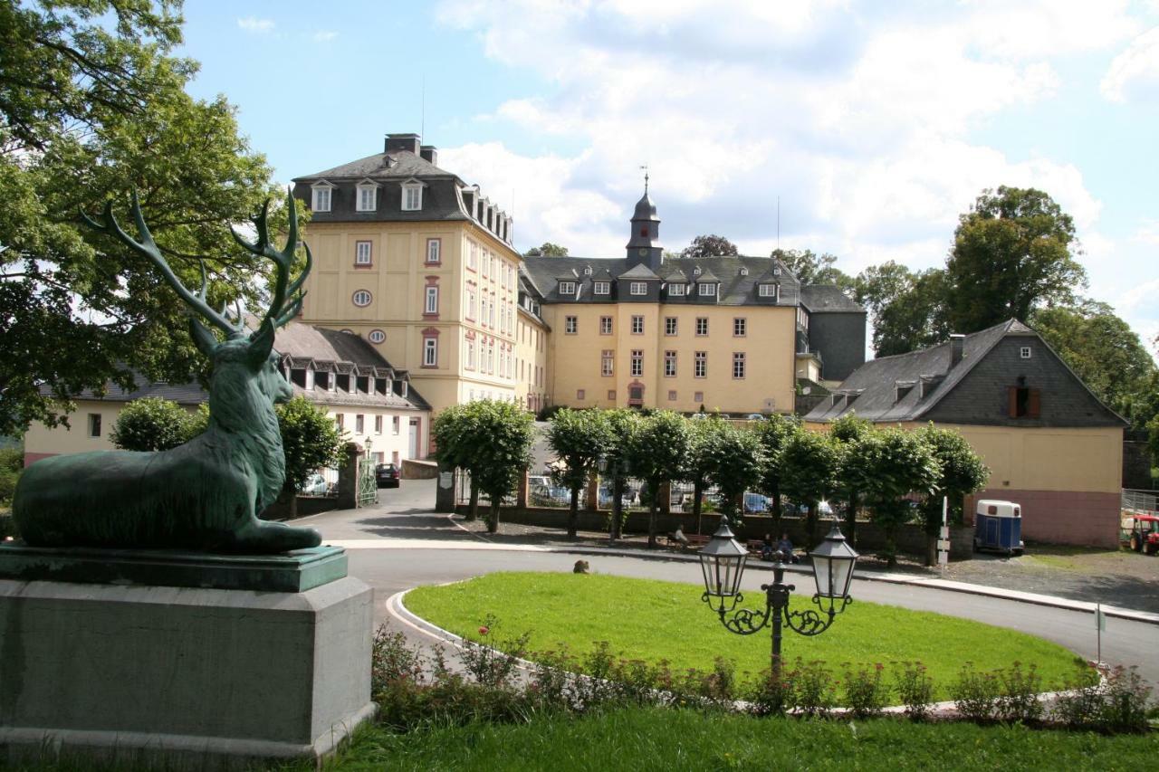 شقة Schloss Wittgenstein باد لاسفه المظهر الخارجي الصورة