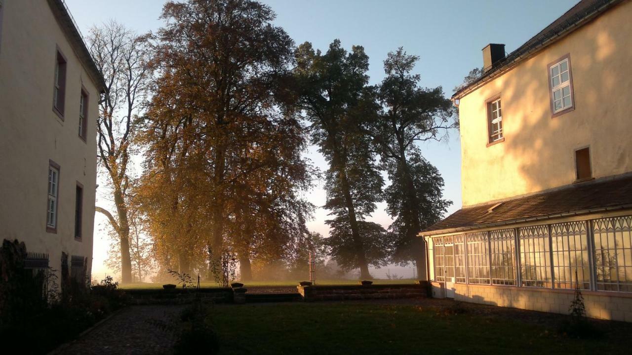 شقة Schloss Wittgenstein باد لاسفه المظهر الخارجي الصورة