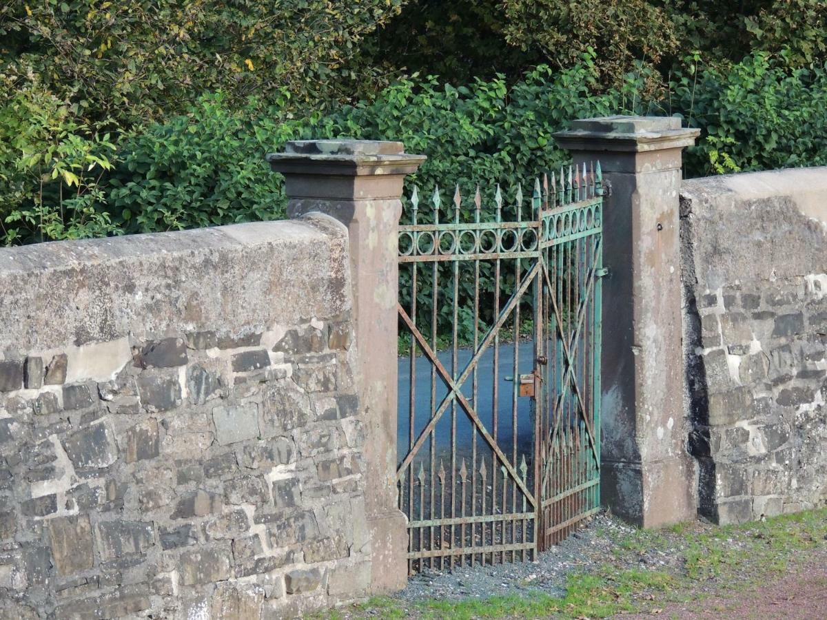 شقة Schloss Wittgenstein باد لاسفه المظهر الخارجي الصورة